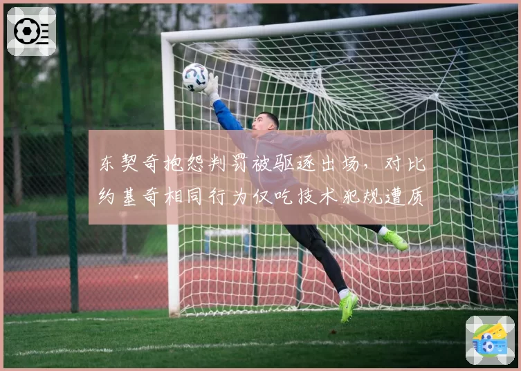 东契奇抱怨判罚被驱逐出场，对比约基奇相同行为仅吃技术犯规遭质疑