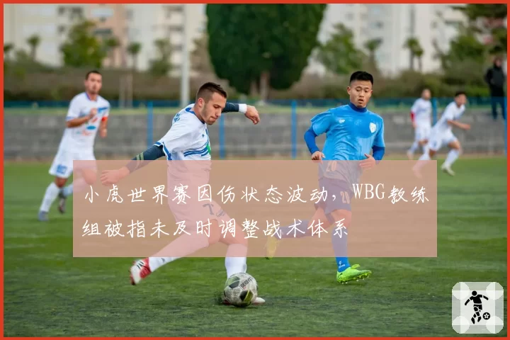 小虎世界赛因伤状态波动，WBG教练组被指未及时调整战术体系