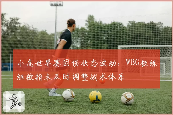 小虎世界赛因伤状态波动，WBG教练组被指未及时调整战术体系