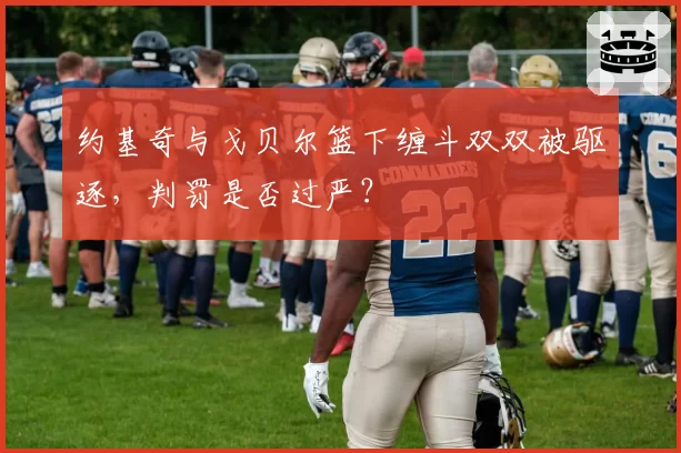 约基奇与戈贝尔篮下缠斗双双被驱逐,判罚是否过严?