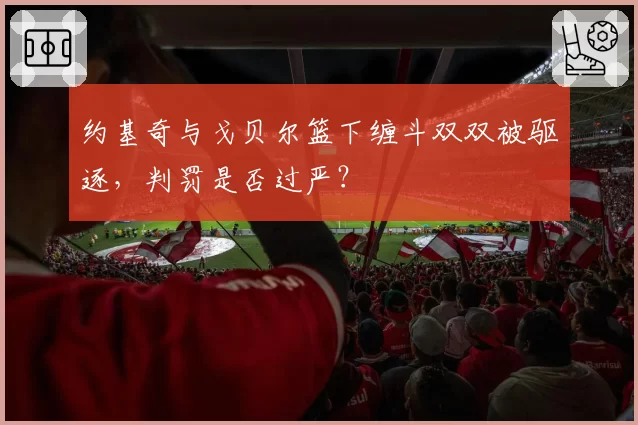 约基奇与戈贝尔篮下缠斗双双被驱逐，判罚是否过严？